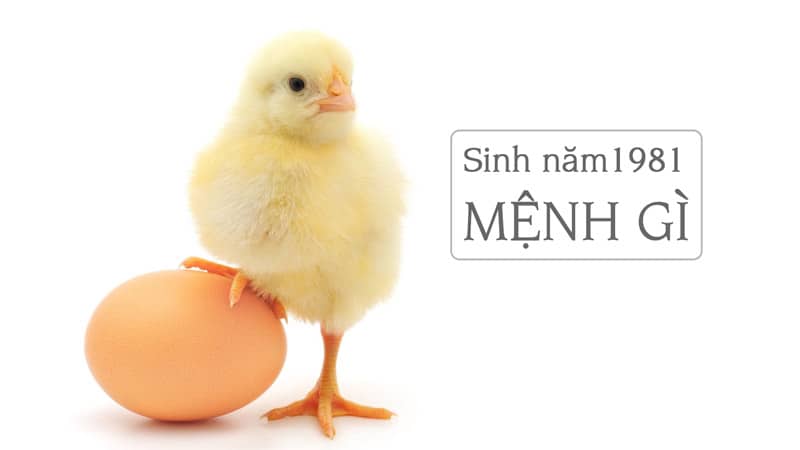42 Tuổi Là Tuổi Con Gì