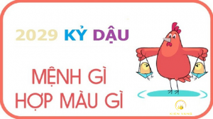 Năm 2029 là năm con gì và mệnh gì