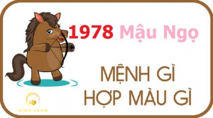 Tuổi 78 Mệnh Gì